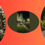 Throwing the Perfect Garden Bash: 15 Classy Ideas You’ll Adore