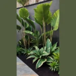 Unleash Your Inner Designer: 15 Tropical Landscaping Ideas for Vibrant Spaces