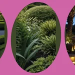 Nature’s Best: 15 Tropical Landscaping Ideas for Your Front Yard