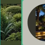 Make Waves: 15 Modern Landscaping Ideas for Florida Yards