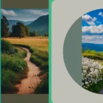 A World of Color: Infusing Life with Landscapes