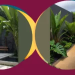 Revamp Your Garden: 15 Tropical Landscaping Ideas You’ll Love