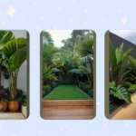 Tropical Dreaming: 15 Landscaping Ideas for a Tropical Paradise