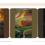 Spice Up Your Fall: 15 Magical Garden Ideas for Every Occasion!