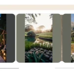 15 Beautiful Location Ideas to Brighten Your Next Adventure