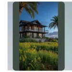 Enchanting Exteriors: 15 Homes That Blend with Nature**  
**