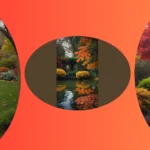 Celebrate Autumn: 15 Garden Ideas That Will Leave You in Awe