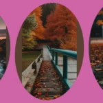 Autumn Vibes: 15 Fall Aesthetic Wallpaper Ideas for Every Device