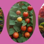 Embrace the Aesthetic: 15 Autumn Garden Ideas for a Picture-Perfect Party**

**