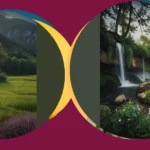 Landscape Charm: 15 Evergreen Ideas for Perfect Outdoor Spaces