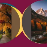 Fall in Love with Fall: 15 Stunning Autumn Landscape Inspirations