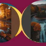 Embrace the Season: 15 Fall Wallpaper Ideas for Your Devices