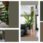 Sprout Joy: 15 Indoor Plants to Brighten Your Home Decor