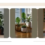 Green Wonders: 15 Indoor Plants for Stunning Home Decor