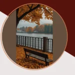 Embracing Autumn: 15 Inspiring Landscape Ideas for Your Creative Pursuits