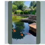 Indoor Pond Paradise: 13 Creative Ideas for Your Living Room