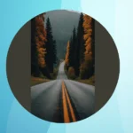 The Urban Jungle: 15 Creative Landscape Photography Ideas