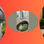 Transform Your Space: 13 Indoor Pond Ideas for the Perfect Living Room