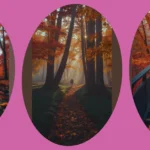 Cozy Up Your Screens with Adorable November Wallpaper Ideas