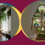 Green Dreams: 15 Indoor Garden Designs for Modern Living Spaces