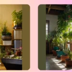 Bring the Outdoors In: 15 Fantastic Indoor Garden Ideas
