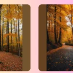 Stunning Fall Photography: 13 Ideas for Aspiring Nature Snappers