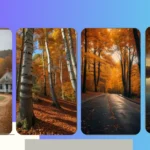 Capturing the Magic: 13 Stunning Autumn Nature Photography Ideas