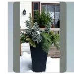 Embrace Winter: 18 Outdoor Planter Ideas for Your Front Porch