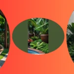 Transform Your Outdoors: 11 Tropical Landscape Design Ideas for Modern Homes