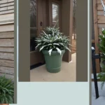 Cozy Up Your Porch: 18 Winter Planter Ideas You’ll Love
