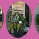 18 Cozy Winter Planters for Your Front Porch