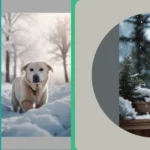 Winter Whimsies: 14 Aesthetic Wallpapers to Brighten Your Screens