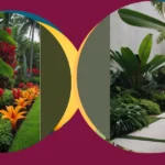Transform Your Outdoor Space: 11 Modern Tropical Landscape Ideas