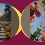 Fall for Flowers: 11 Fiori Autunnali Ideas to Celebrate the Season