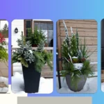 Tantalizing Winter Planters: 18 Ideas to Spruce Up Your Front Porch