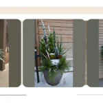 Front Porch Fabulous: 18 Planter Ideas for a Magical Winter Welcome