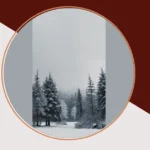 Chill Out: 14 Adorable Winter Wallpapers for Your Favorite Devices