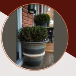 Cozy Up Your Porch: 18 Delightful Winter Planters to Try
