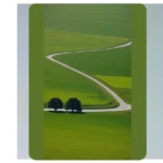 Transform Your Screen: 15 Natural Wallpapers for iPhone