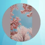 Pink Dreams: 17 Inspiring Aesthetic Ideas for Your Tree this Christmas