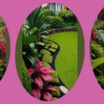 Tropical Oasis Awaits: 20 Garden Design Ideas for Your Home