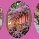 Enchanting Pink Tree Aesthetics for a Cozy Christmas Vibe**  
**