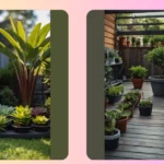 Embracing Small Spaces: 15 Garden Ideas That Pack a Punch