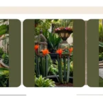 Transformative Tropical Designs: 20 Backyard Ideas for a Zen Escape