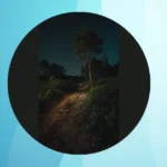 Illuminate Your Nights: 17 Nature Night Photography Ideas