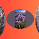 Lavender Love: 15 Gorgeous Wallpaper Ideas to Transform Your Space