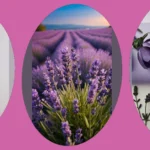 Embrace the Lavender Vibe: 15 Wallpaper Ideas to Transform Your Space