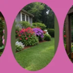 Wildflower Wonders: Nature’s Palette for Your Front Garden