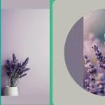Lavender Dreams: 15 Wallpaper Ideas That’ll Make Your Devices Pop