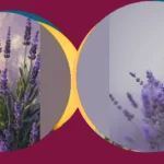 Lavender Lushness: 15 Wallpaper Ideas for That Chic Aesthetic